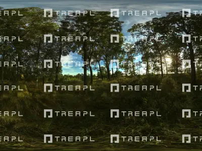 A22- HDRI SKIES TREAPL ATMOSPHERE - 360 SKIES Texture