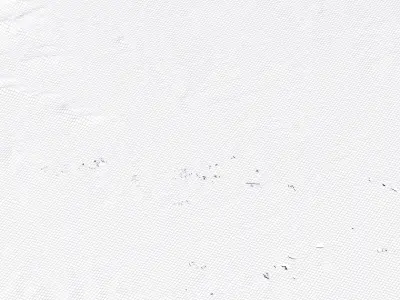 Lianshan China City Landscape 3D Model 3D model