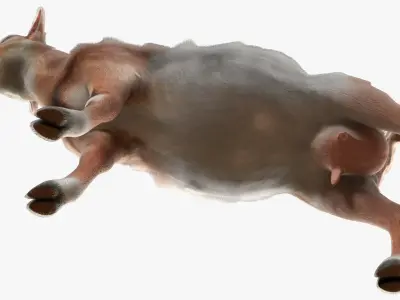  Dairy Goat Fur Rigged for Blender 