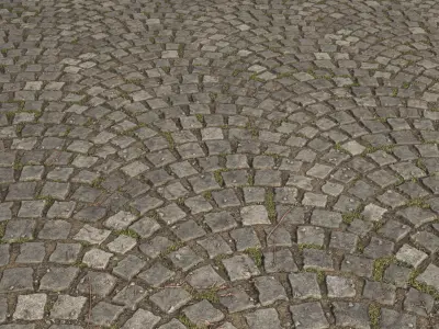 COBBLESTONE PAVEMENT PBR SEAMLESS TEXTURE 3D model