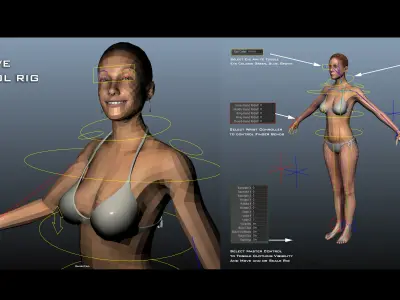 Full Female Body With Skeleton 3D model