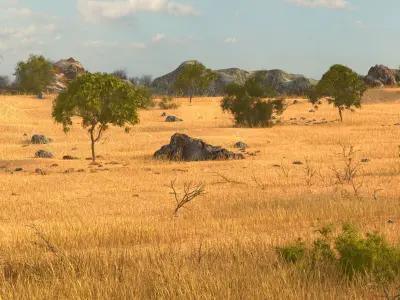 Savannah Environment 3D model