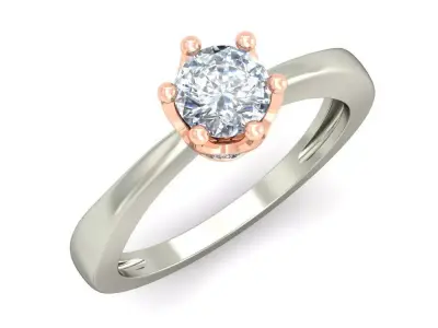 Women Ring  Render 3dm STL OBJ FBX Details 3D print model 101