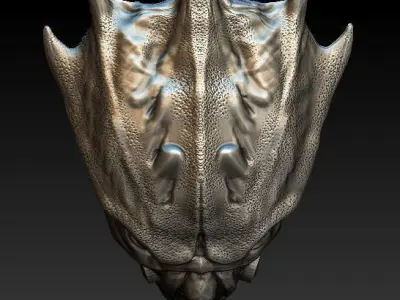 Predator Hawk bio mask 3D model
