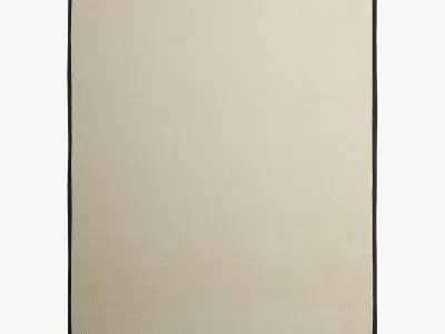 Sisal Area Rugs 20 3D model