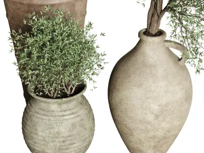 Olive tree in an old earthenware vase indoor collection 3D model