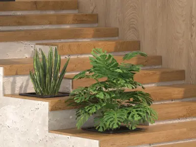wood staircase Free 3D model