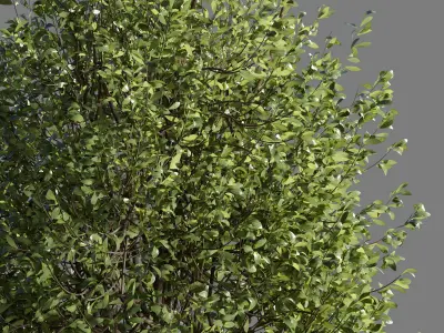  Bench with Plants - Urban Furniture 05 3D model