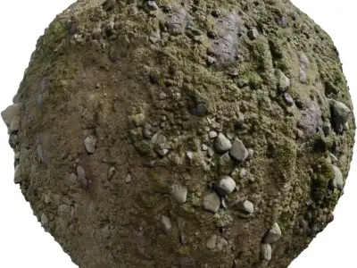 Mossy Rocky Ground Texture Texture