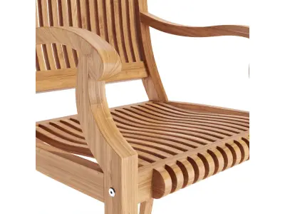 Palm Dining Armchair  3D model