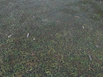 bumpy plant field 4K Texture