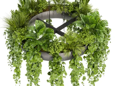 Collection plant vol 03 - pothos - hanging - ampelous 3D Model Pack