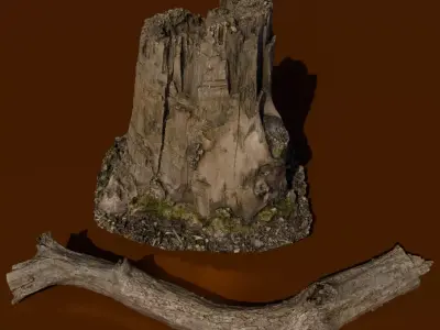 4K High Polly Tree Stump And Branch 3D model