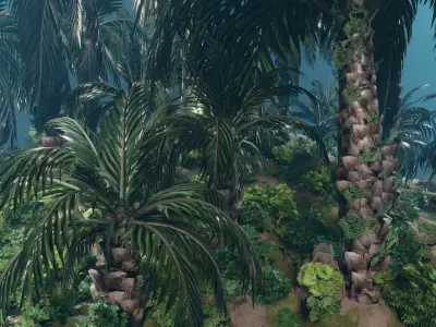 Oil Palm  Forest Tropical plant Low-poly 3D model