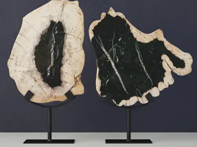 Petrified Wood Slices on Stand collection 3D Model Pack