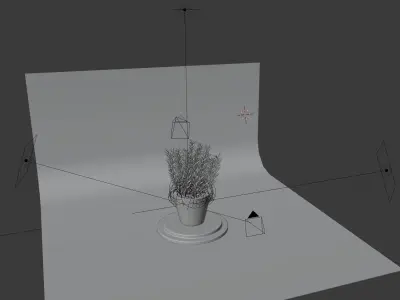 Rosemary plant in pot 3D model