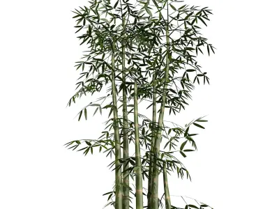 Bamboo Thicket Plant Tree Low Poly Low-poly 3D model