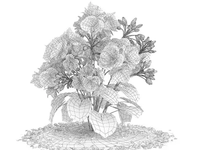 Red Geraniums Geranium caespitosum 3D model