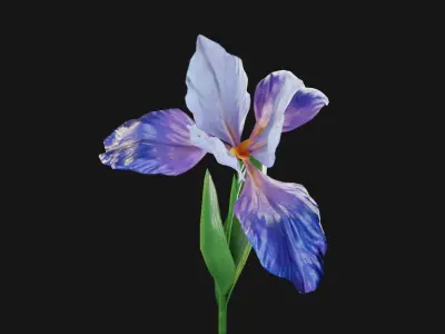 Animated Low Poly Iris Flower Low-poly 3D model