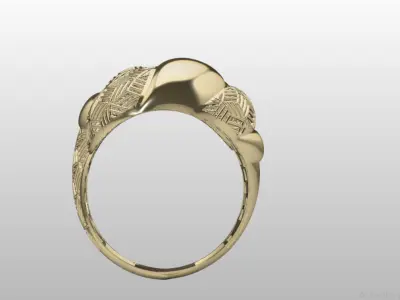 Fusion Ring Light Weight 3D print model