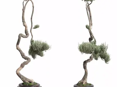 bonsai old metal Pot - Indoor Plants set 470 3D model