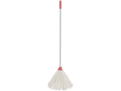 Household Mop 3D model