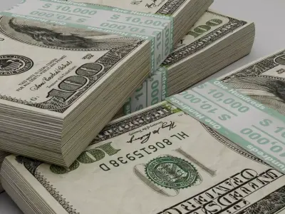 One hundred dollar package in 3D 3D model