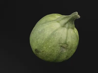 Tinda Round Melon 3D model