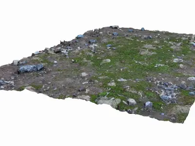 Mossy Ground Low-poly 3D model