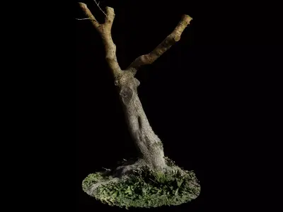 Treebark06scan dead tree 3D model