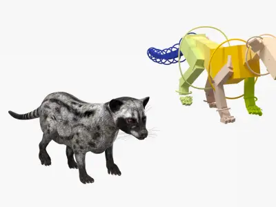  Asian Palm Civet for Kopi Luwak Gray Coat Rigged 