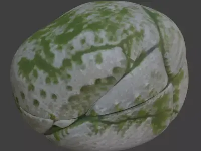 Stone Rock 3D Model 3D model