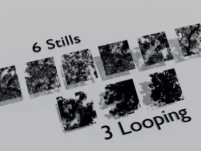 Tree Canopy GOBO Pack Animated and Stills Texture