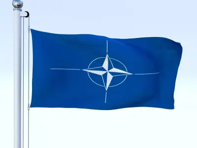 Animated Nato Flag Low-poly 3D model