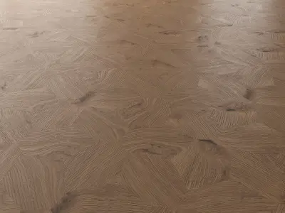 Parquet Oak Vergne Wild Wood set 7 3D model