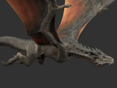  Dragon Black Rigged 