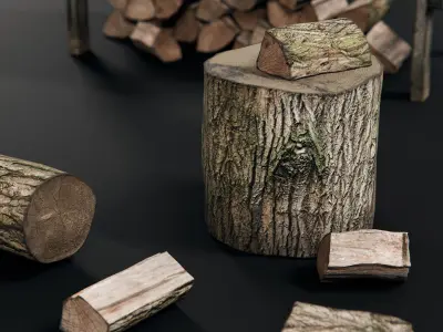Firewood Asset Pack 3D model