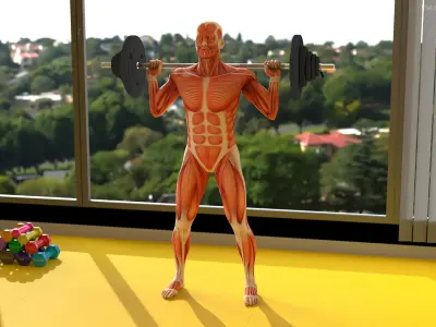  Anatomy Male Muscular System Squats Animated Rigged for Maya 