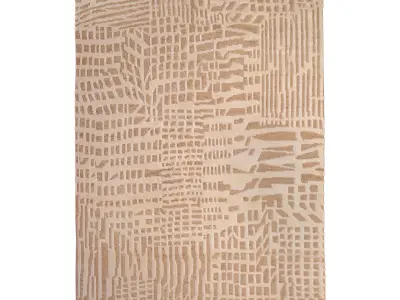 CARPET ELYN 200 X 300 3D model