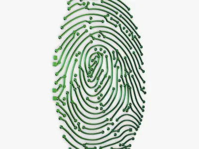 Electronic fingerprint v 1 3D model