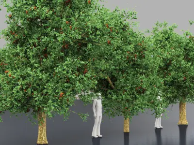 Citharexylum spinosum tree -Florida fiddlewood tree 3D model