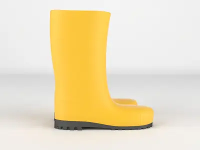 Wellington Boots 3D model