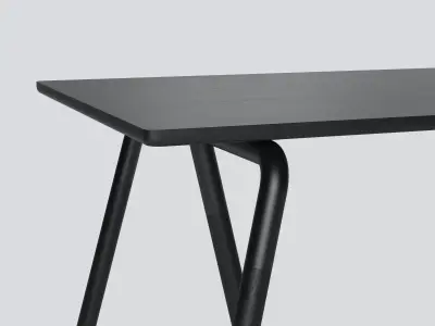 Raft Table 3D model