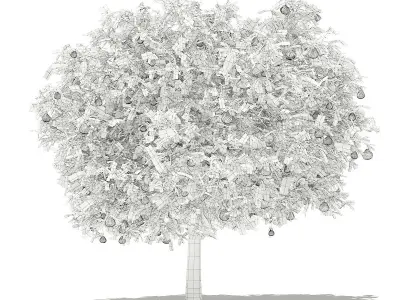 Pomelo Tree with Fruits 3D model