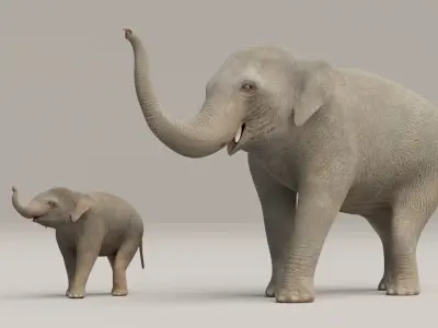 Rigged Adult Elephant And Baby Elephant Low-poly 3D model