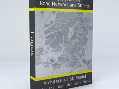 Lagos Road Network and Streets 3D model