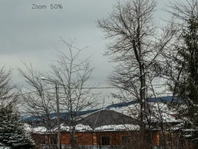 Panorama with snow-covered trees and a field - 30k 3D model