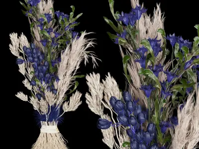 Collection plant vol 74