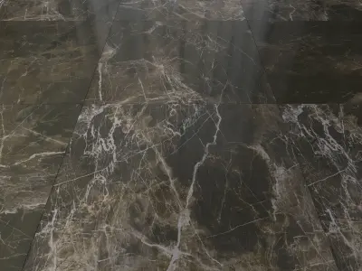 Marble Floor Set 62 Texture