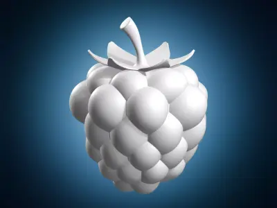 Raspberry Fruit Model 3D print model
